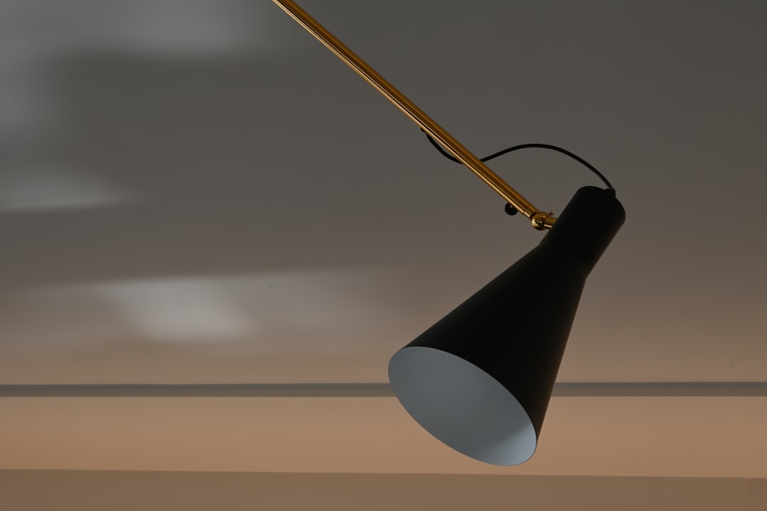 Photo swing arm wall lamps